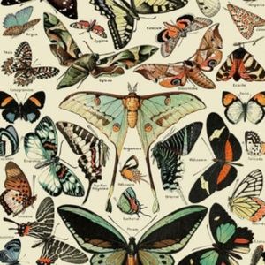 Meet your Posher, Florence